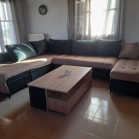 Elena'S Family House Apartment อาร์เตมีดา ภายนอก รูปภาพ
