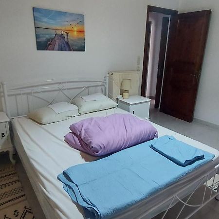 Elena'S Family House Apartment อาร์เตมีดา ภายนอก รูปภาพ